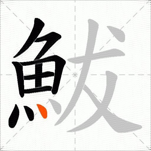 鮁