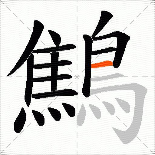 鷦
