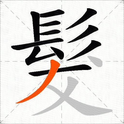 髮