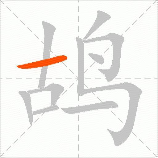 鸪