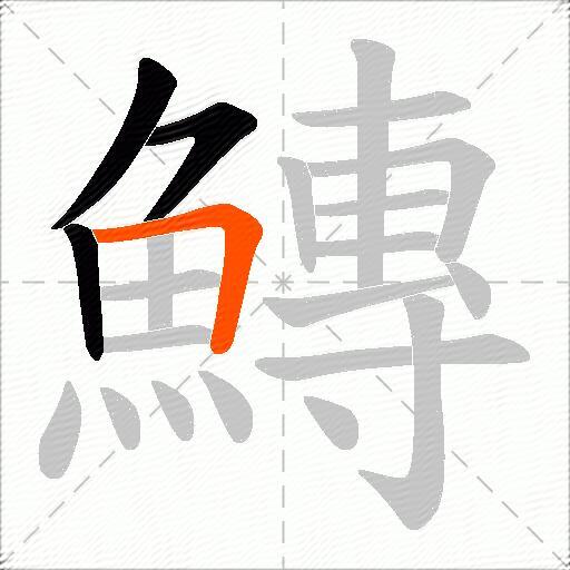 鱄