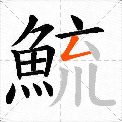 鯍