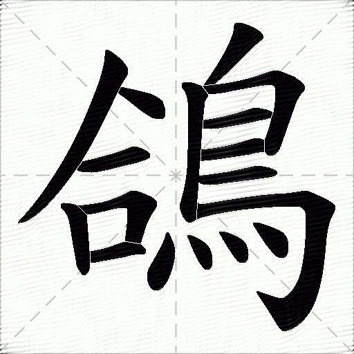 鴿