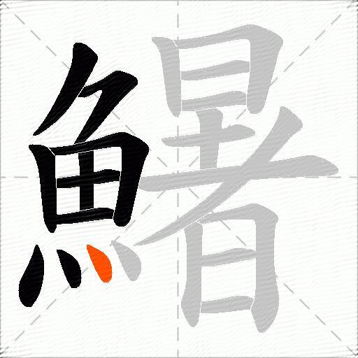 鱪