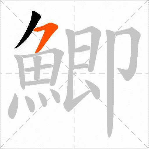 鯽