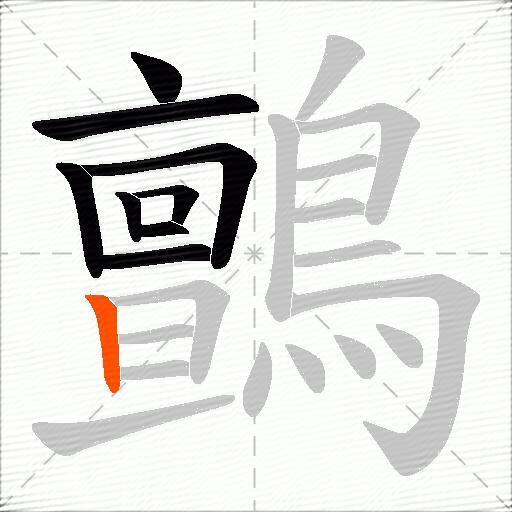 鸇