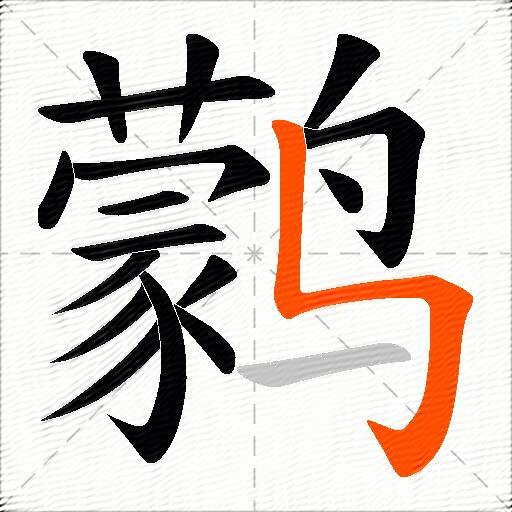 鹲