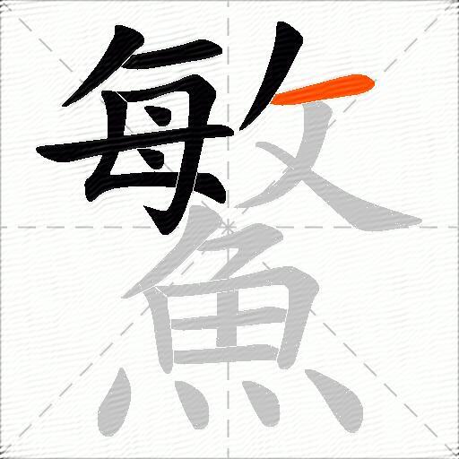 鰵