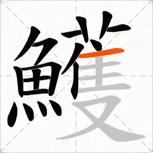 鱯