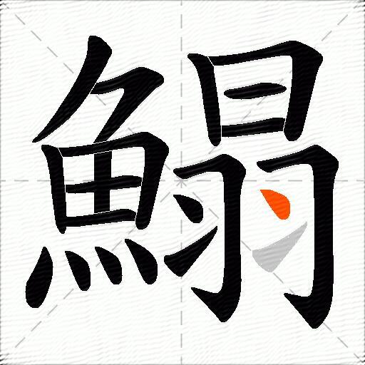 鰨