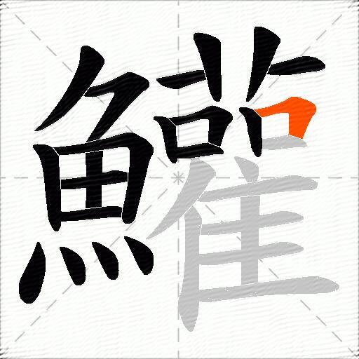 鱹