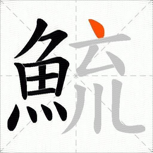 鯍