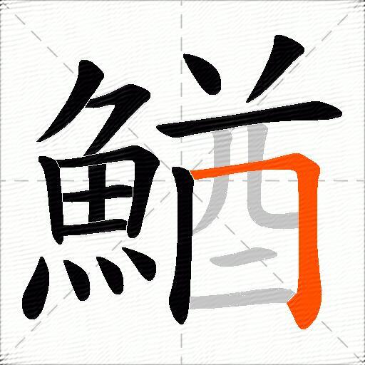 鰌