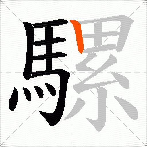 騾