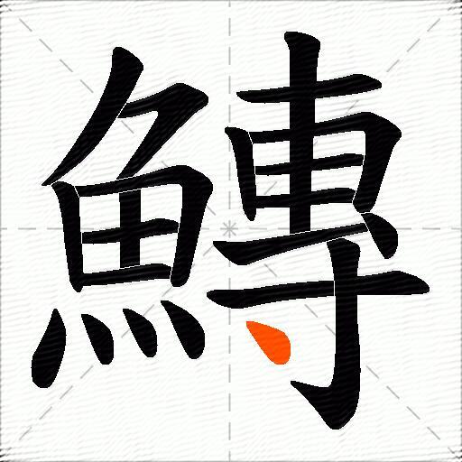 鱄