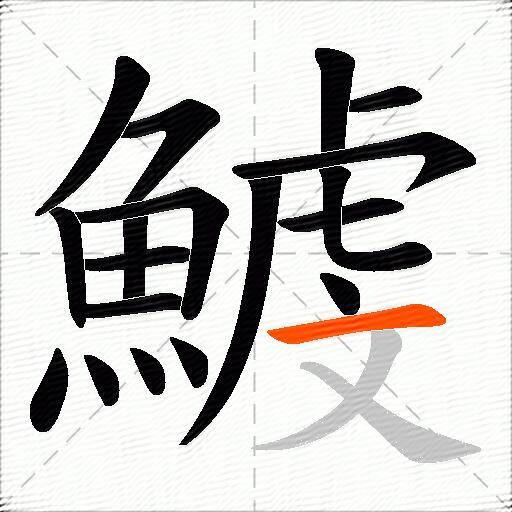 鰬