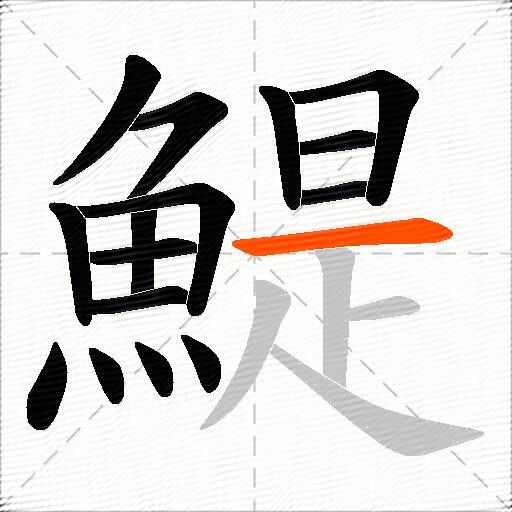 鯷