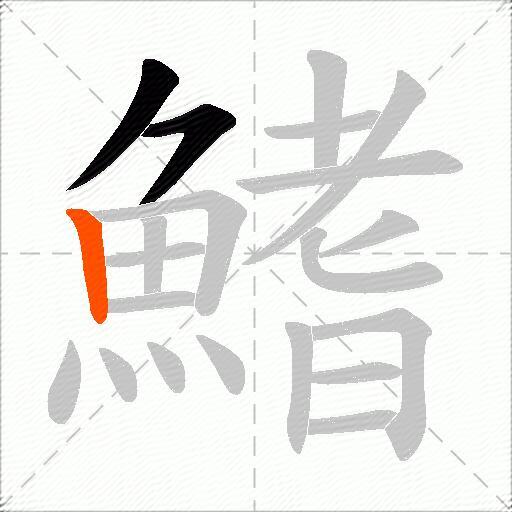 鰭