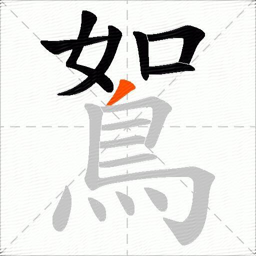 鴽