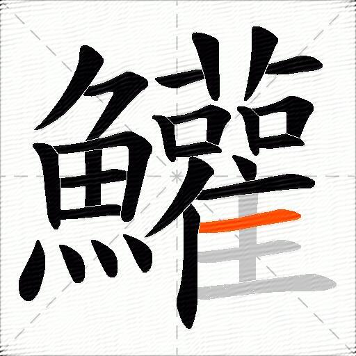 鱹