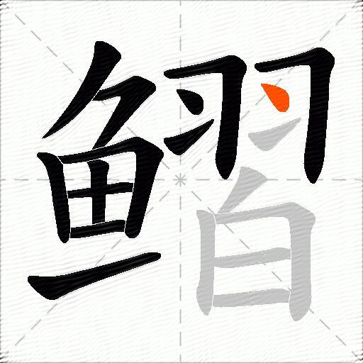 鳛
