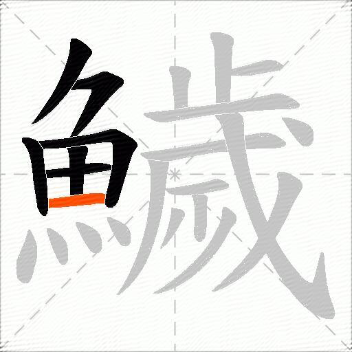鱥