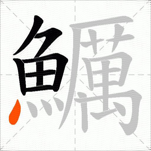 鱱