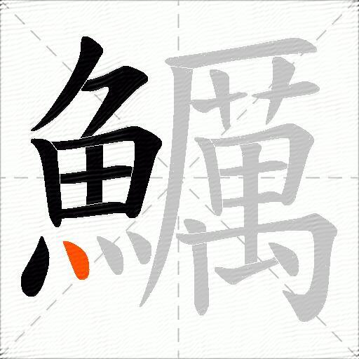 鱱