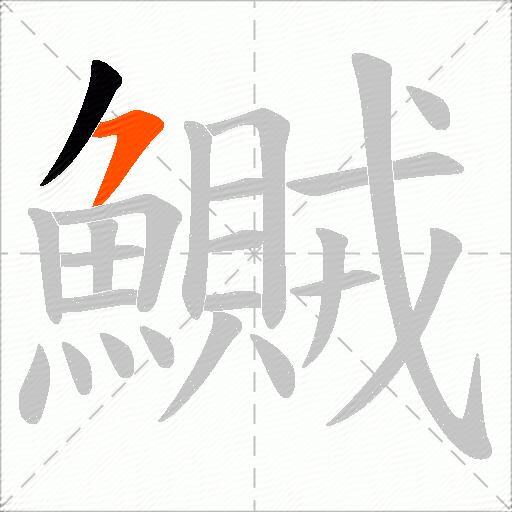 鱡