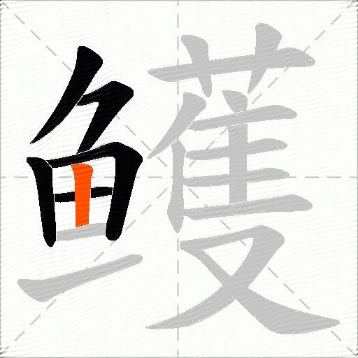 鳠