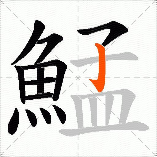 鯭