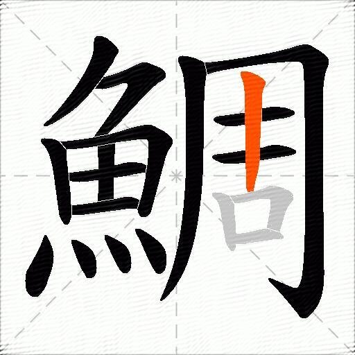 鯛