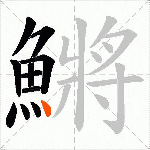 鱂