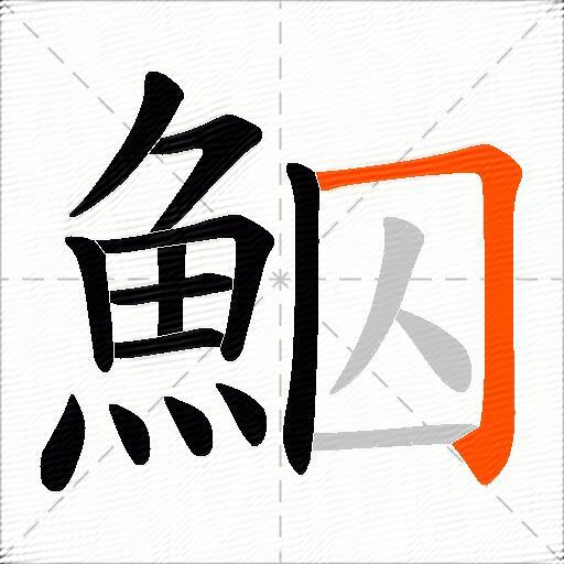 鮂