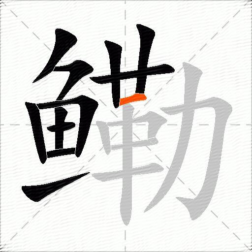 鳓