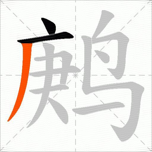 鹒