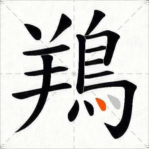 鴹