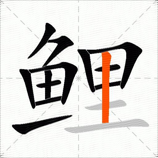 鲤