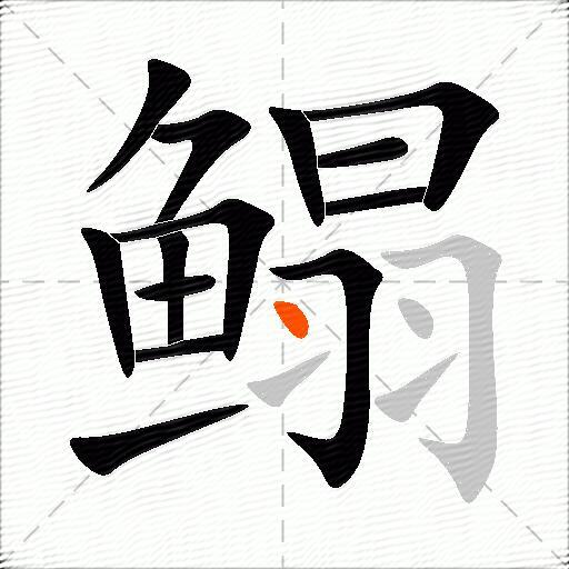 鳎