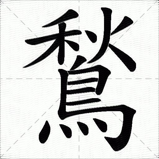 鶖