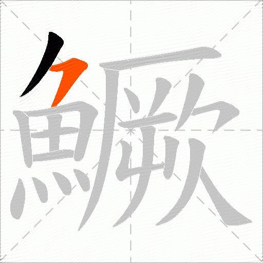 鱖