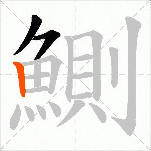 鰂