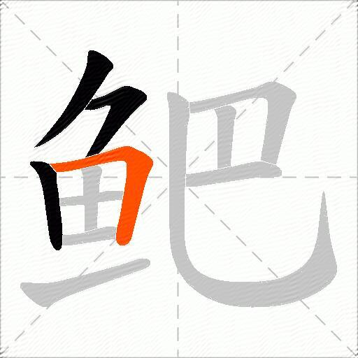 鲃