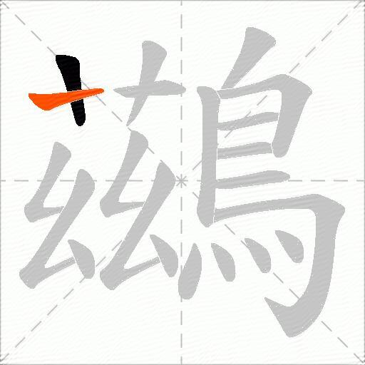 鷀