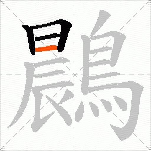 鷐
