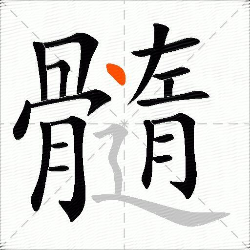 髓