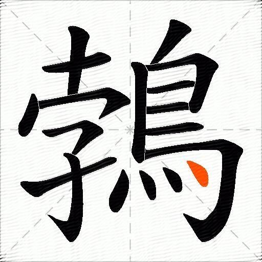 鵓