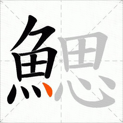 鰓