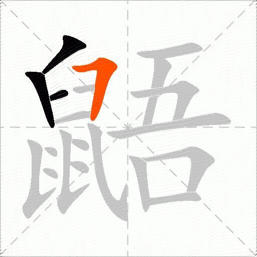 鼯