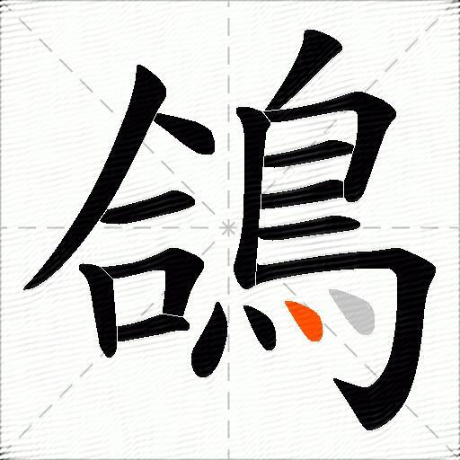 鴿